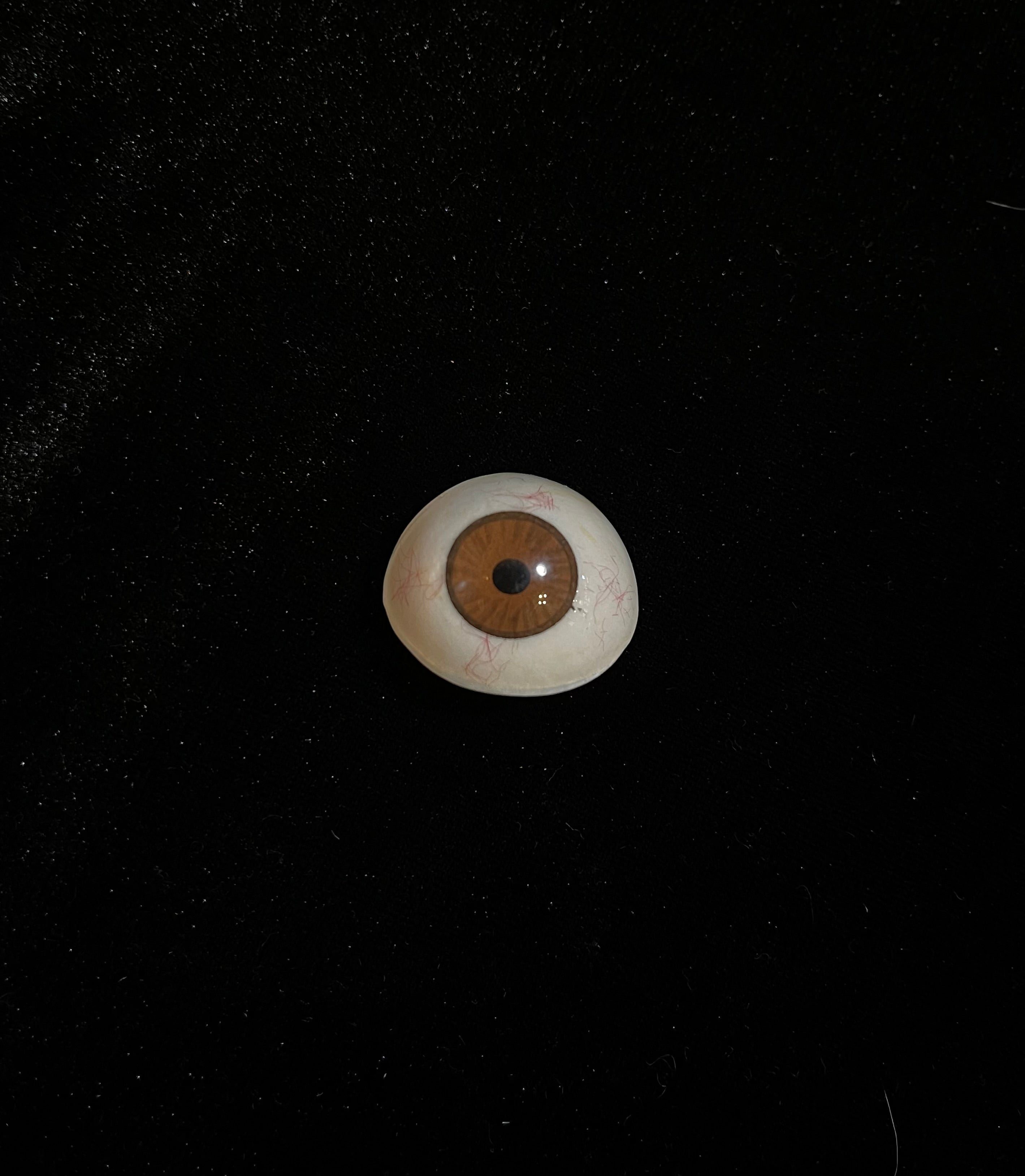 Antique Glass Eyes
