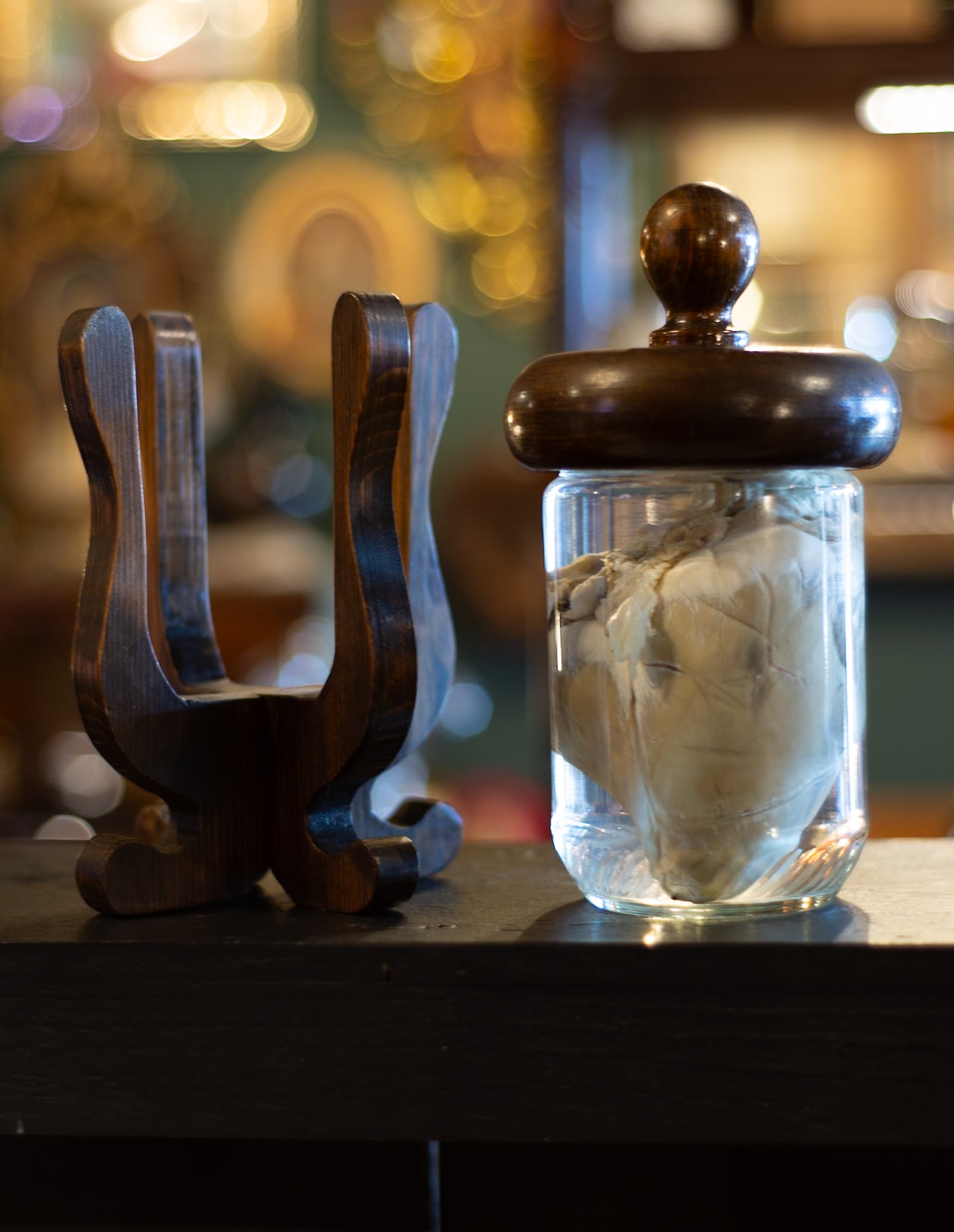 German Shepherd Heart Wet Specimen