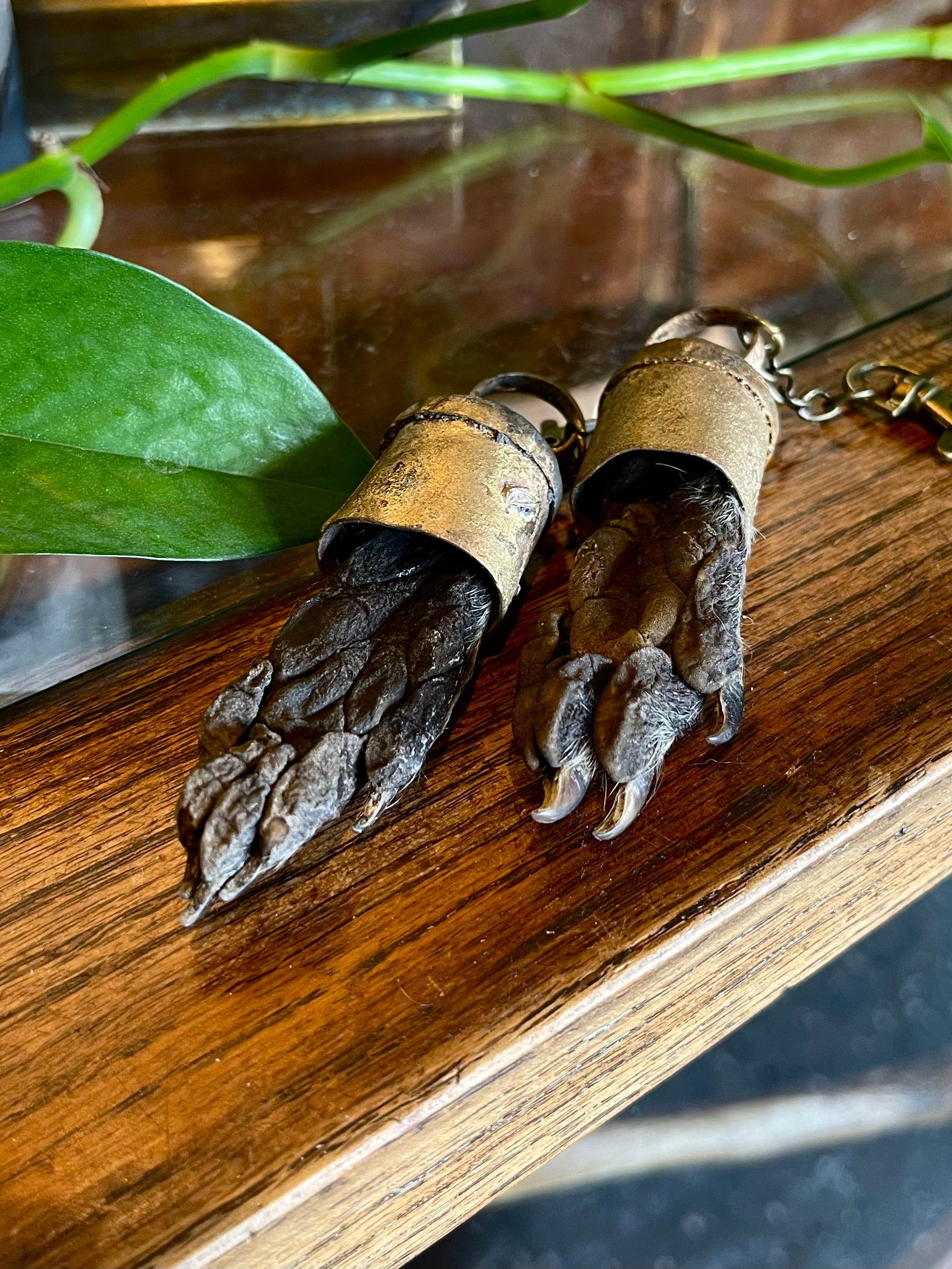 Raccoon Paw Charm