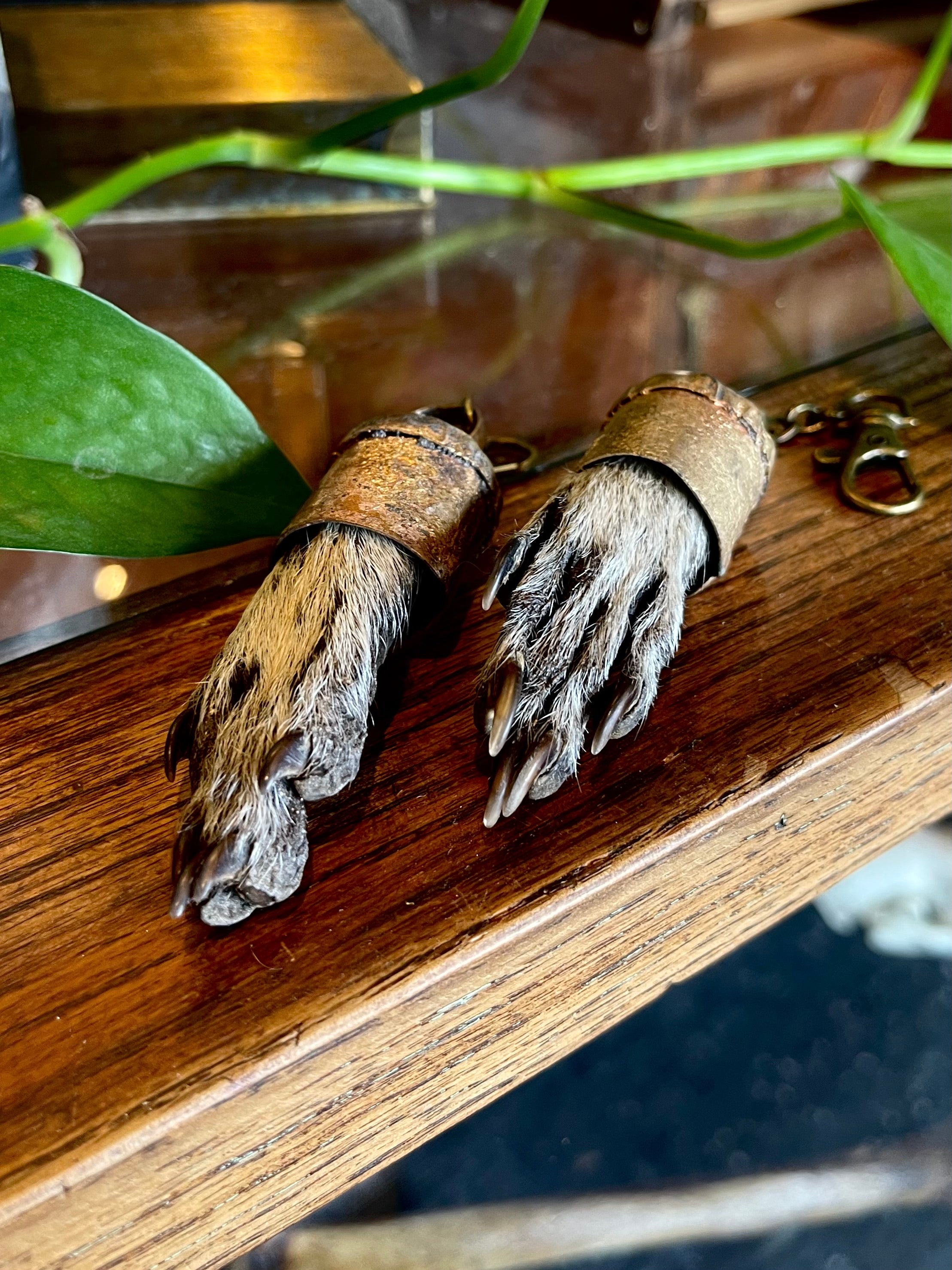 Raccoon Paw Charm