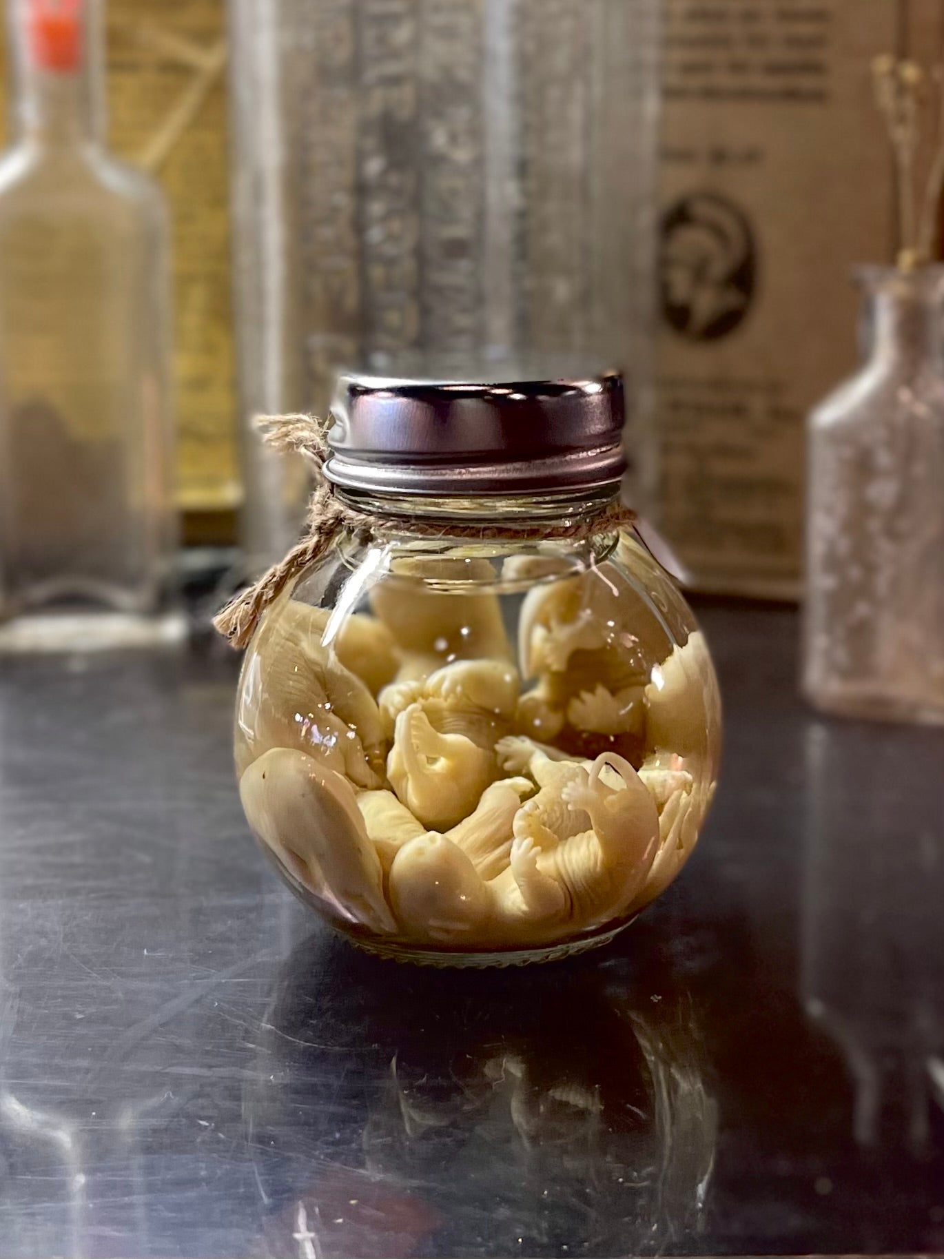Opossum Wet Specimen Seven