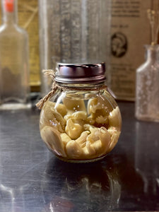 Opossum Wet Specimen Seven