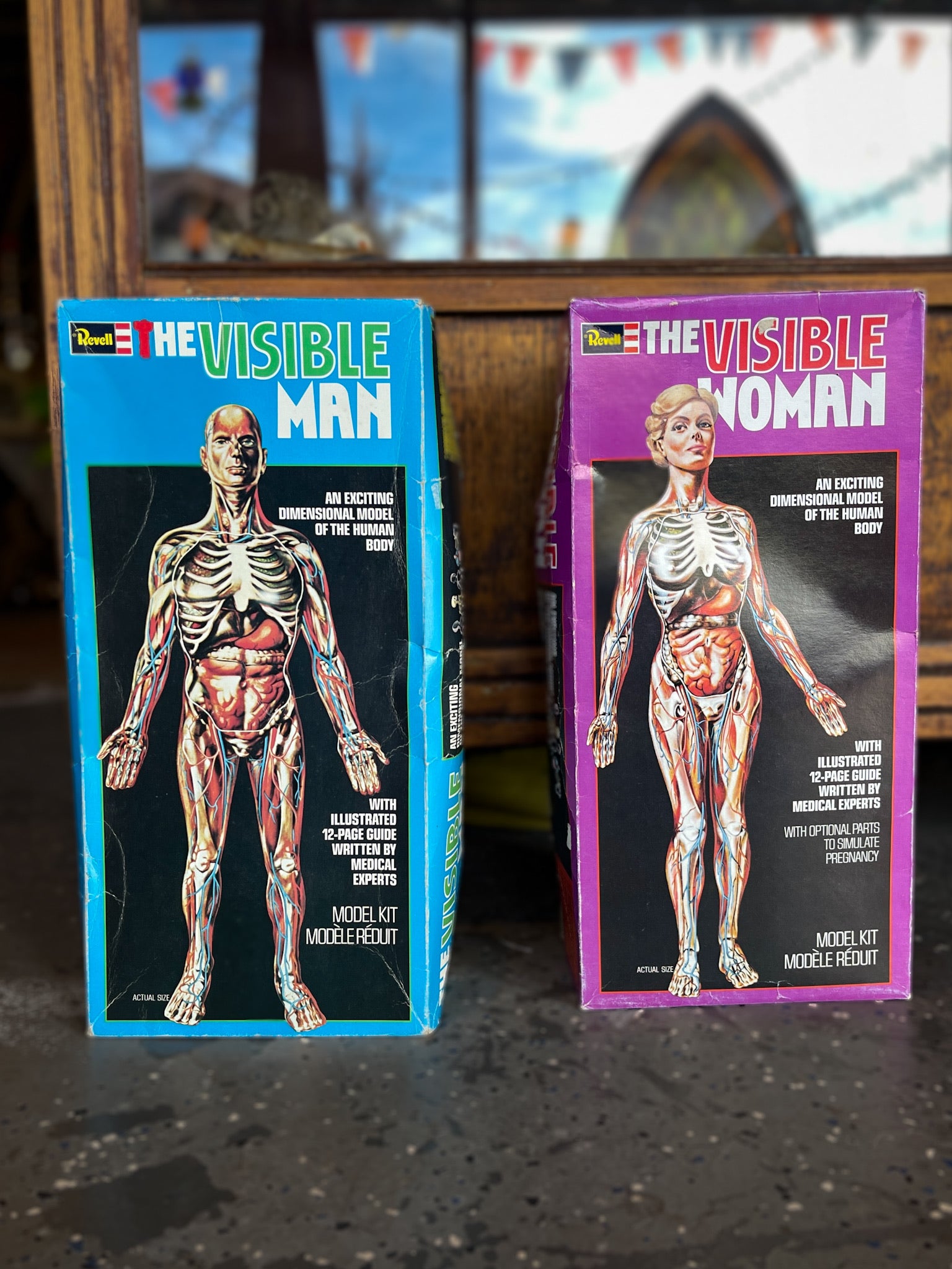 1977 The Visible Man in Box