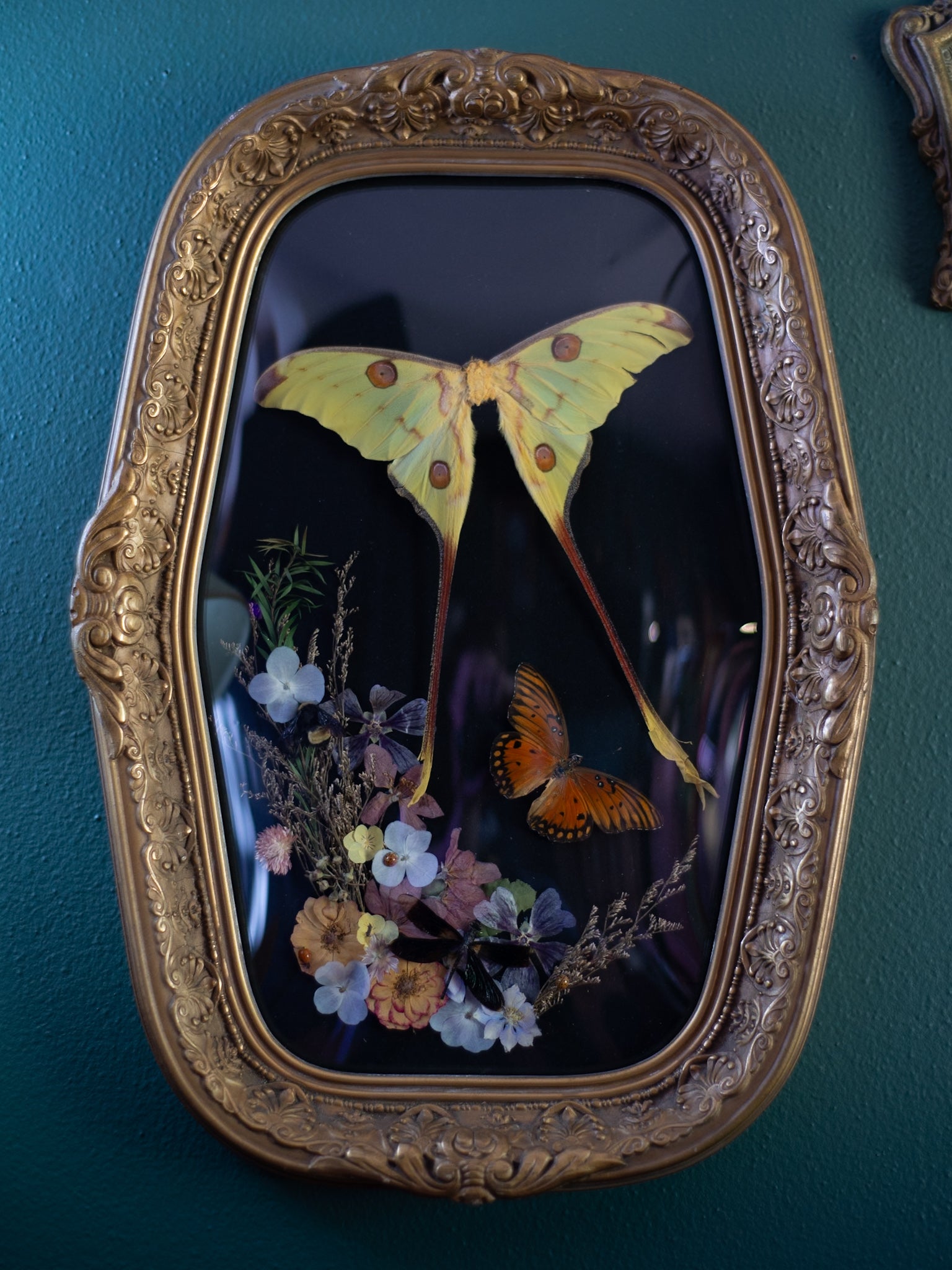 ‘Spring Awakening’ by February’s Flowers