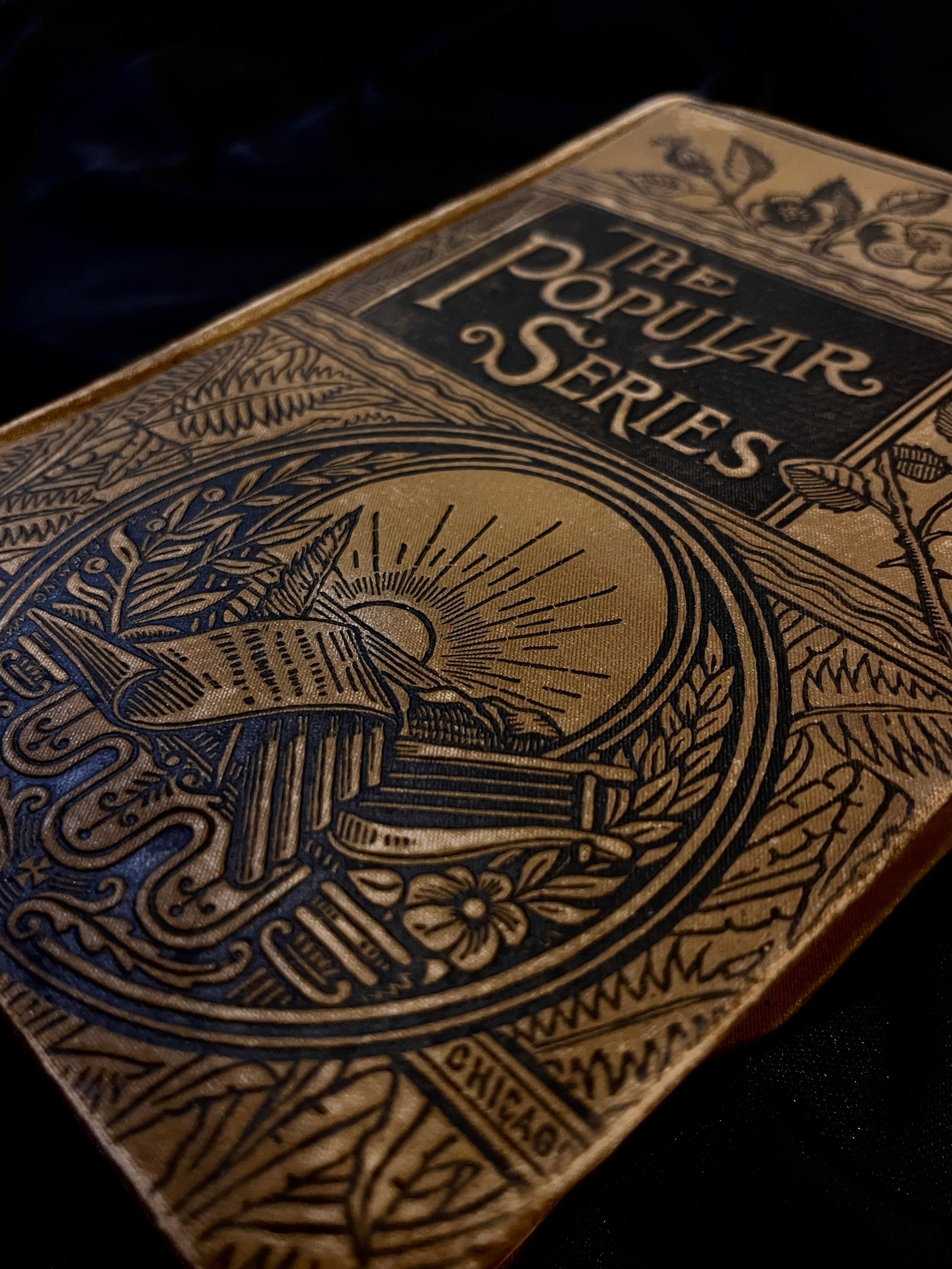 The Dream by Émile Zola, 1888 (Laird & Lee, Popular Series)