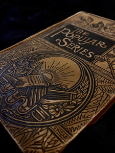 The Dream by Émile Zola, 1888 (Laird & Lee, Popular Series)