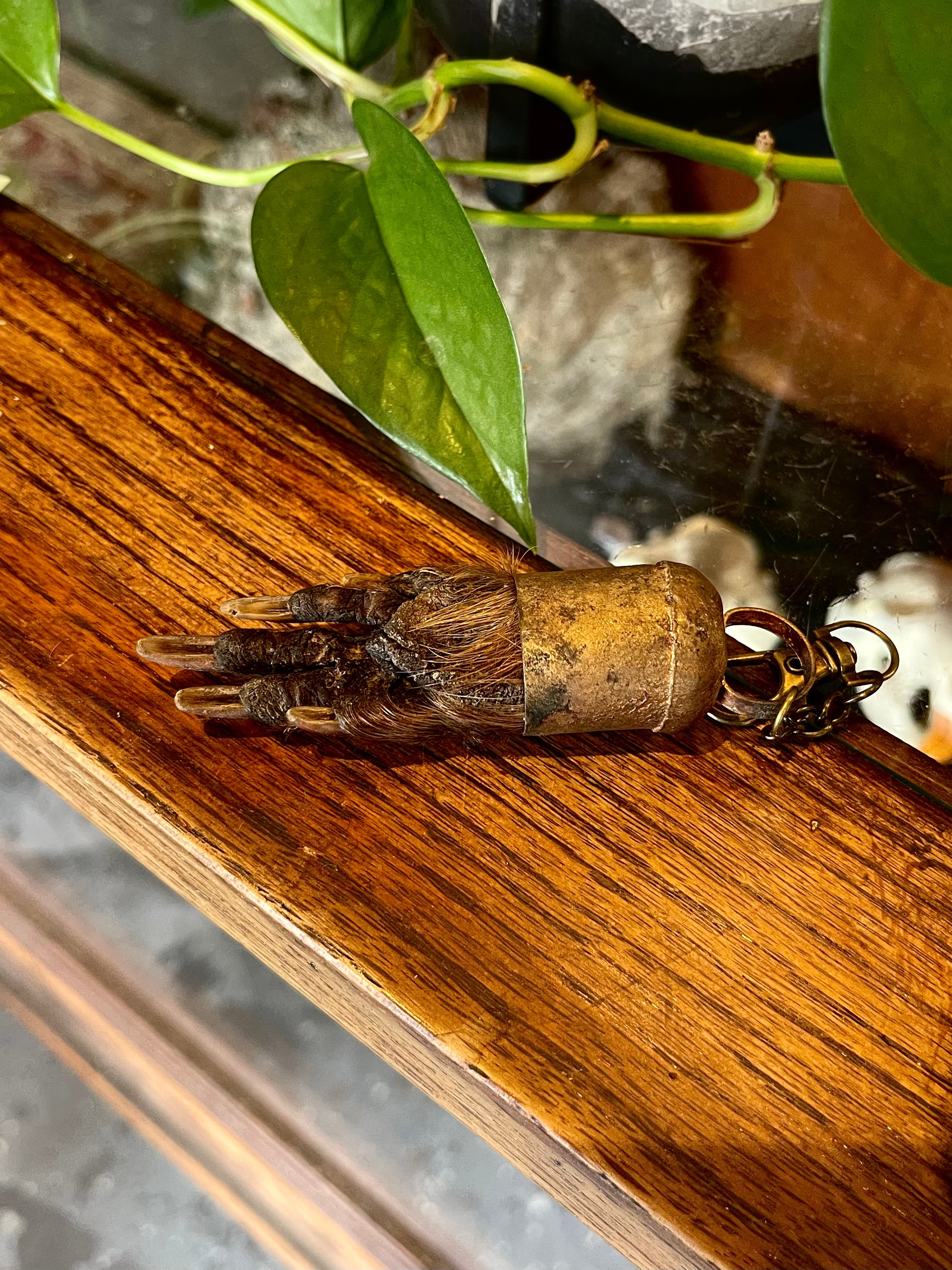 Beaver Foot Charm