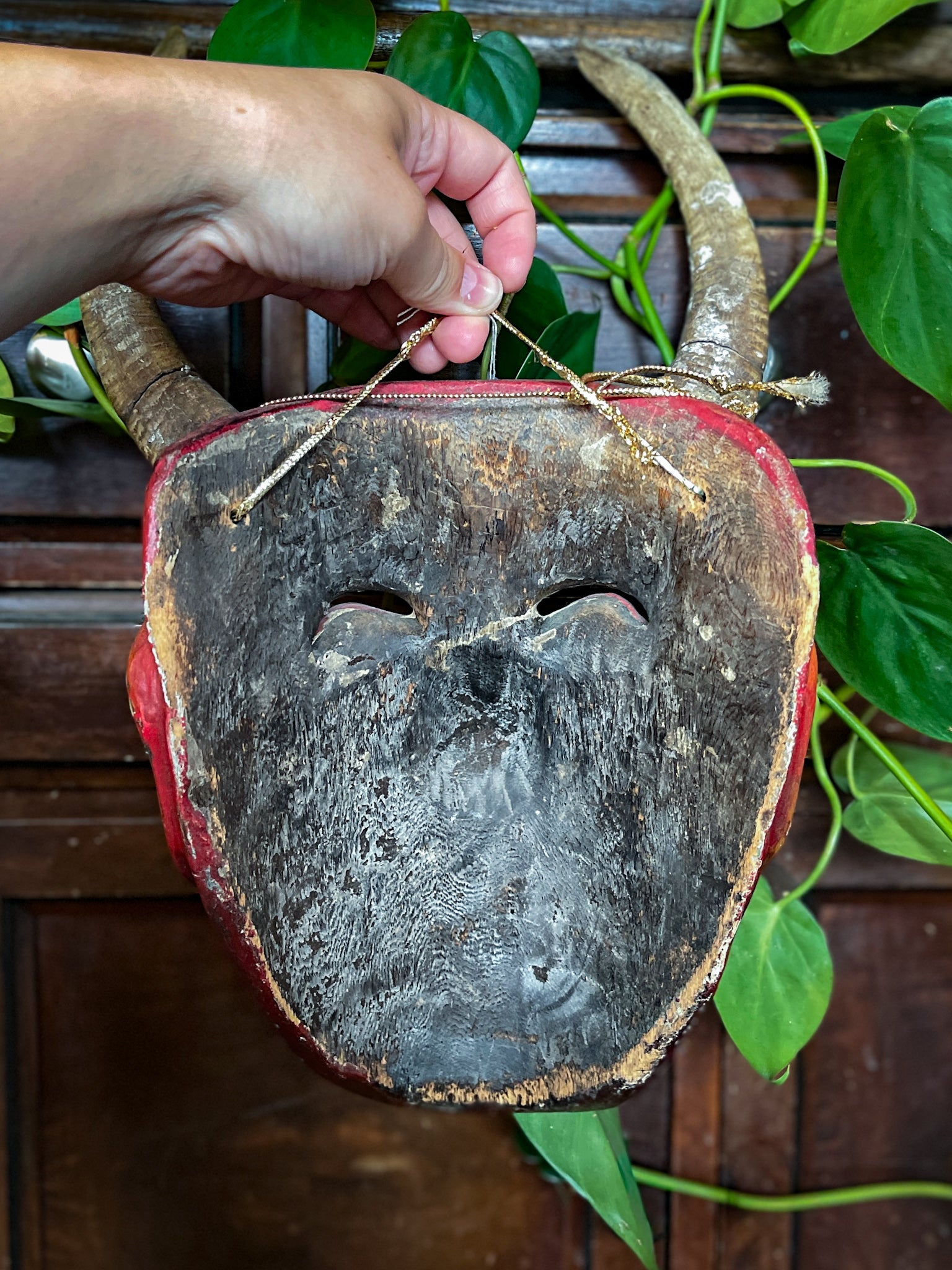 VTG Wood Devil Mask
