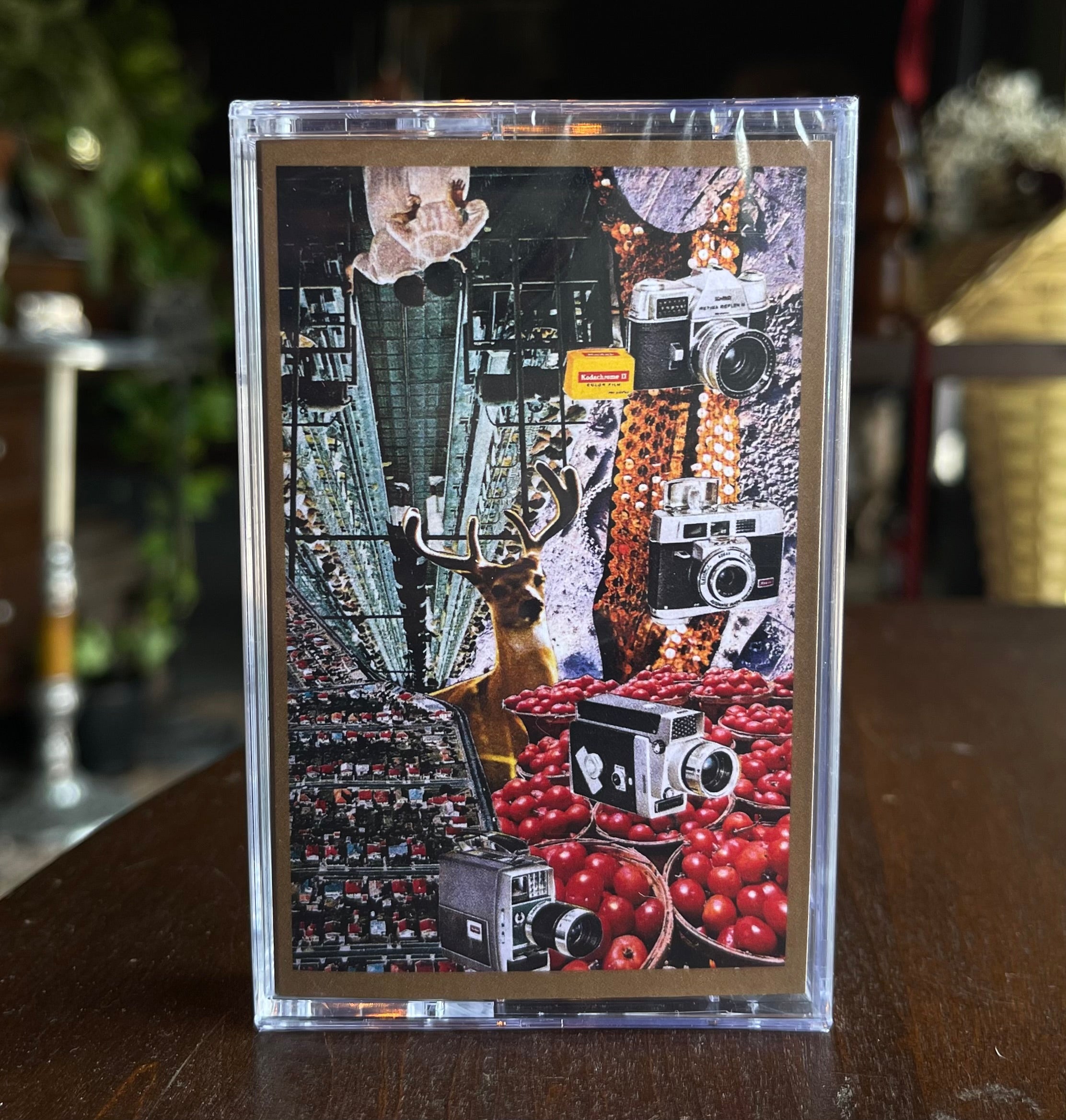 Chat Pile Tape - Blood at Night Vol. I