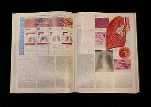 The Ciba Collection of Medical Illustrations, Volume 7: Respiratory System, 1980