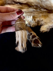 Coyote Paw Charm