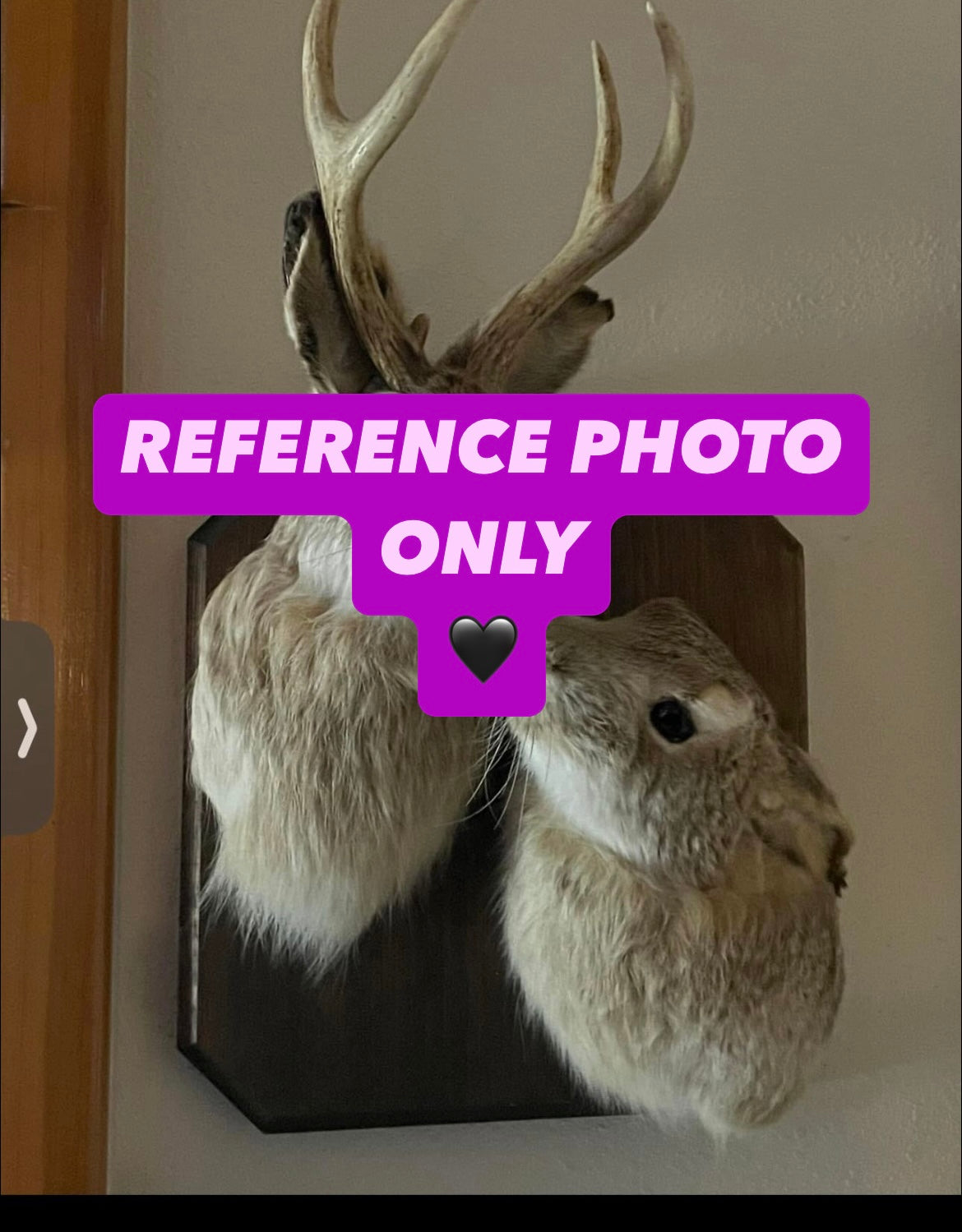 Custom Listing for Sieanna Rose Jackalope + Rabbit Pair