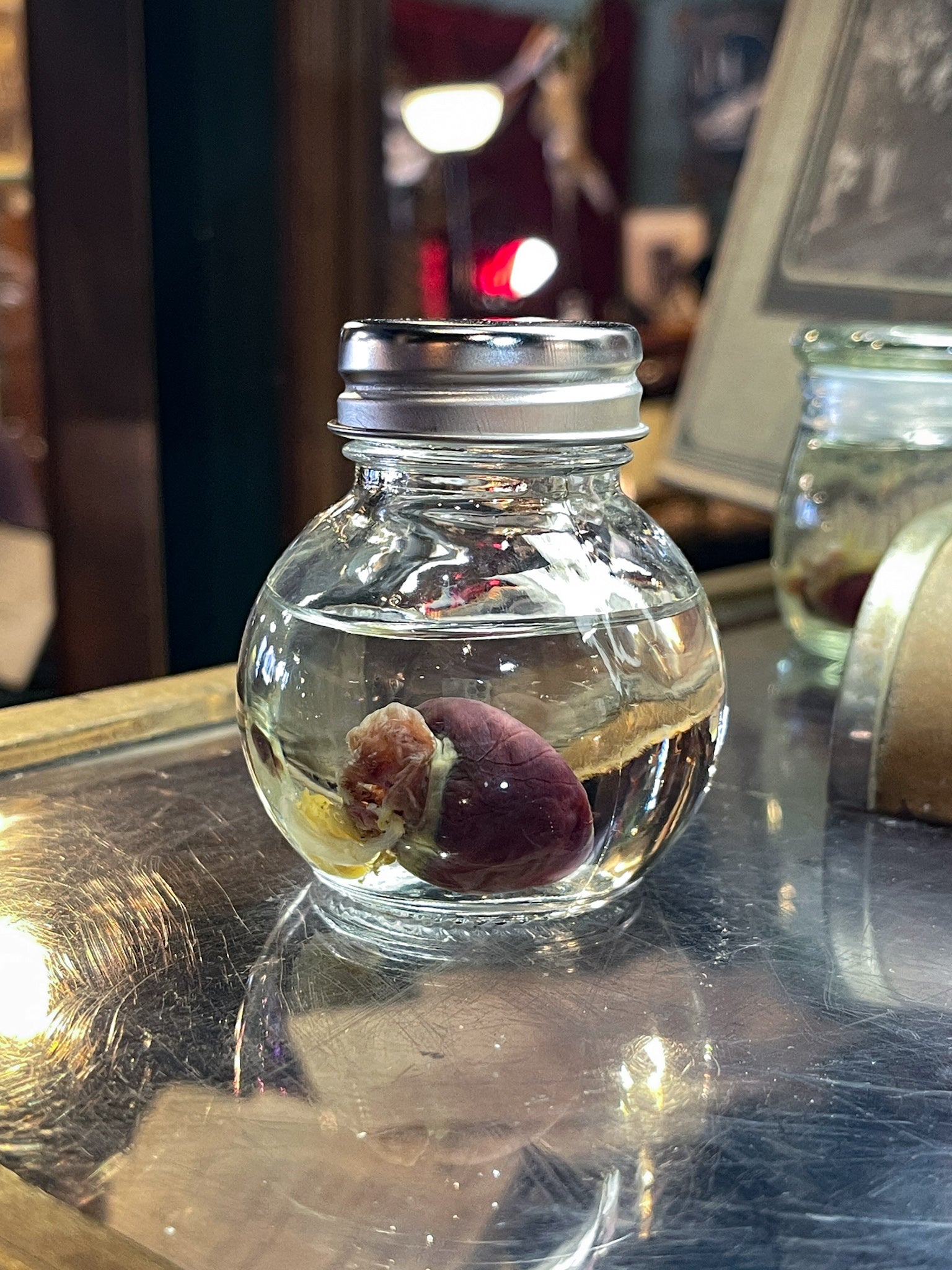 Rabbit Heart Wet Specimen