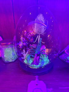 Scorpion display