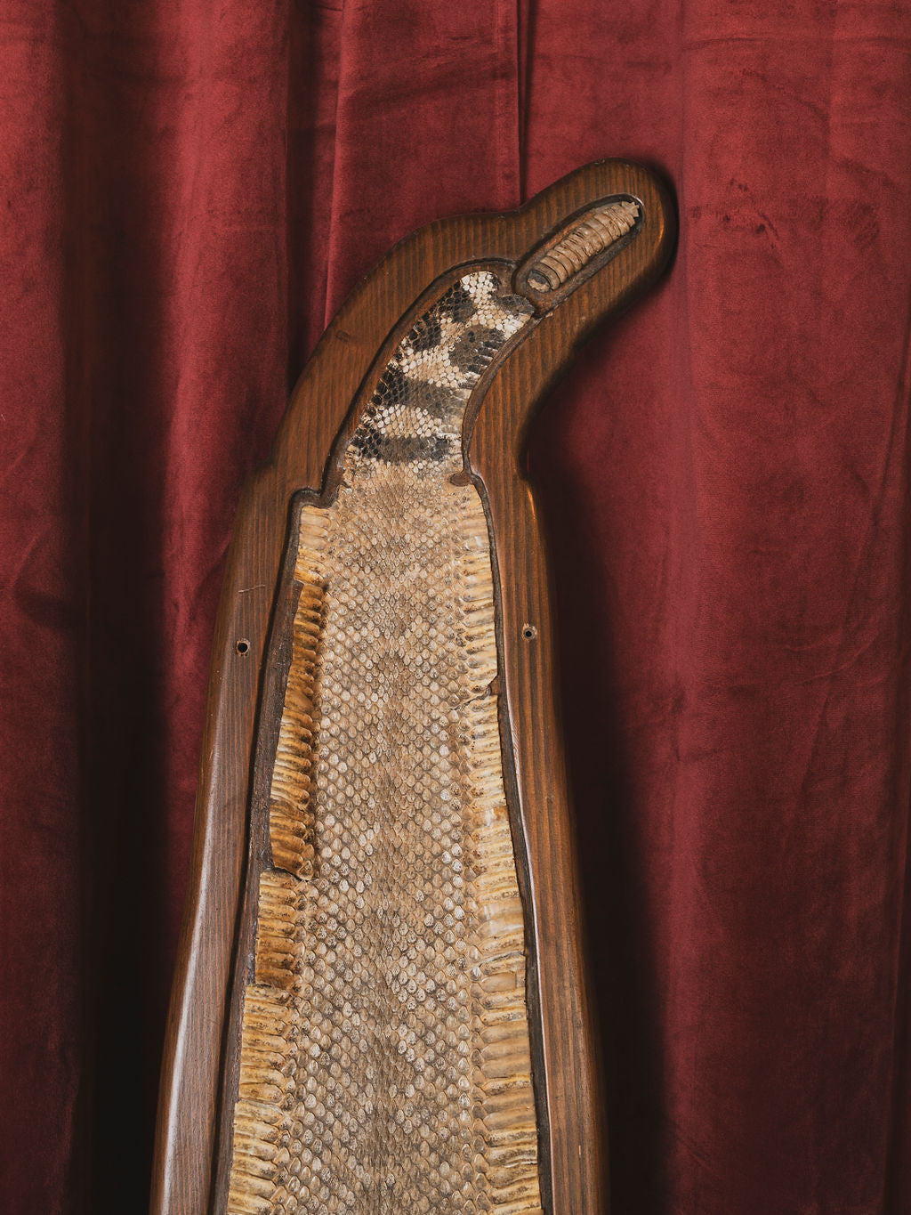 Diamondback Rattlesnake Skin on Wooden Plaque