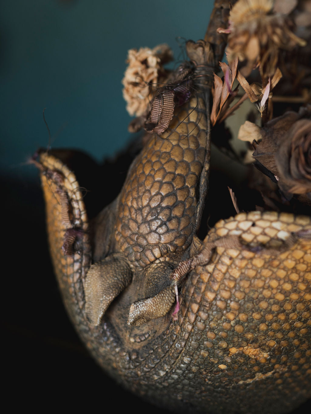 Vintage Armadillo Basket