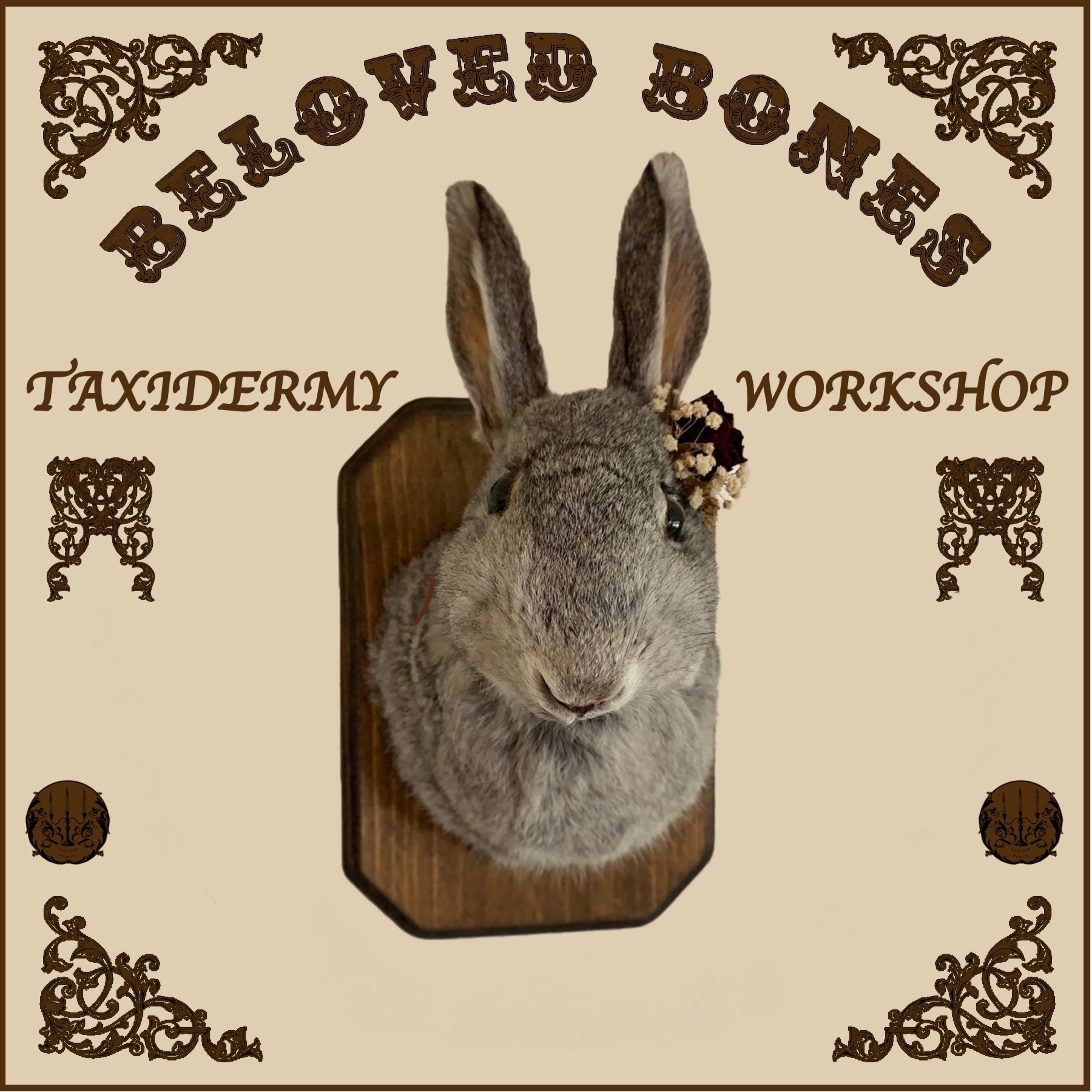 October 7th- Rabbit OR Jackalope Taxidermy Workshop