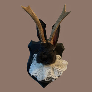 October 7th- Rabbit OR Jackalope Taxidermy Workshop