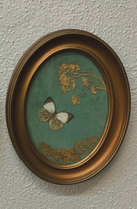 Vintage Preserved Butterfly Wall Decor